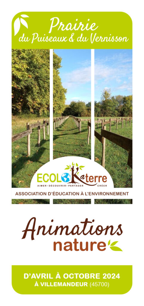 ECOLOKATERRE - FLYER PRAIRIE - 2024